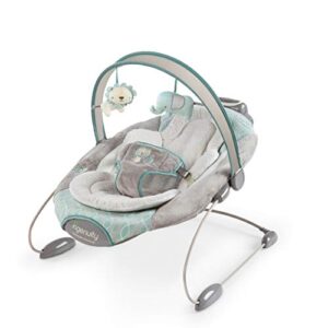 Ingenuity Cambridge Best portable baby rocker