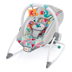 Bright Starts Rocker Best Bright Starts Rocking Chairs for Babies